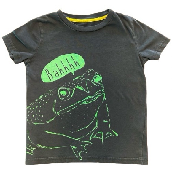 Mini Boden Other - Mini Boden Size 4-5Y, Navy & Green, Frog, Short Sleeved T-Shirt, Tee
